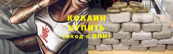 Альфа ПВП Ельня